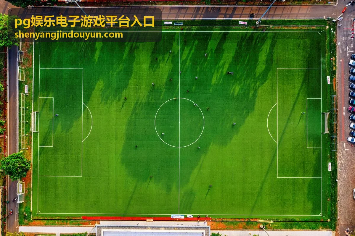 pg娱乐电子游戏平台入口登录环节安全提醒配图