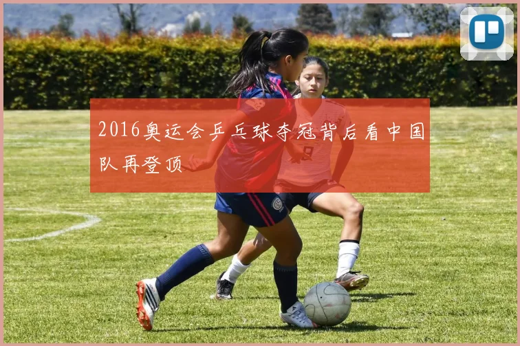 2016奥运会乒乓球夺冠背后看中国队再登顶