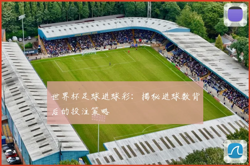 世界杯足球进球彩：揭秘进球数背后的投注策略
