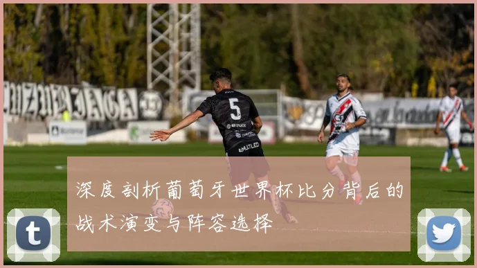 深度剖析葡萄牙世界杯比分背后的战术演变与阵容选择