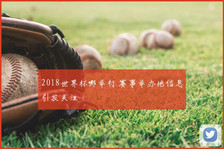 2018世界杯哪举行 赛事举办地信息引发关注