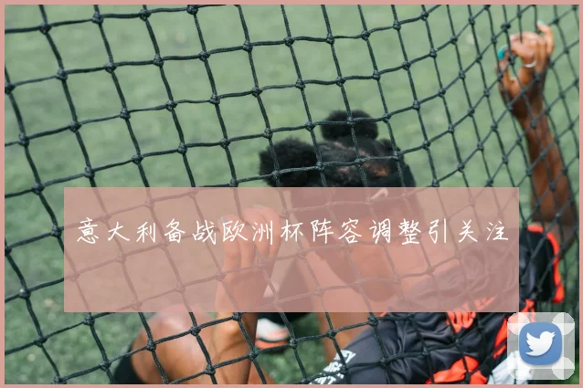 意大利备战欧洲杯阵容调整引关注