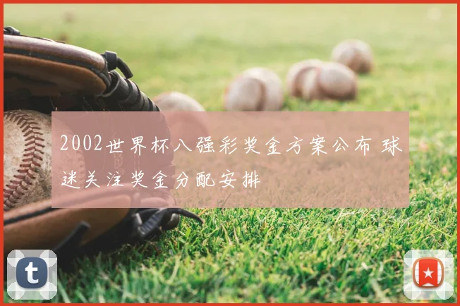 2002世界杯八强彩奖金方案公布 球迷关注奖金分配安排