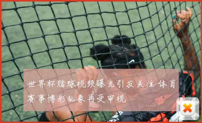世界杯赌球视频曝光引发关注 体育赛事博彩乱象再受审视