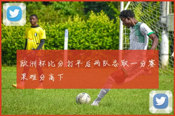 欧洲杯比分打平后两队各取一分赛果难分高下