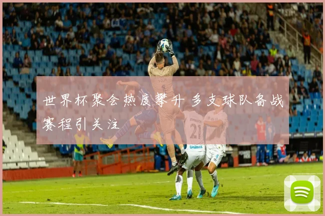 世界杯聚会热度攀升 多支球队备战赛程引关注